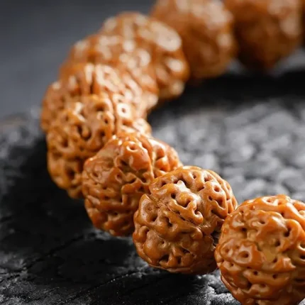 Rudraksha Beads Bracelet