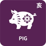 Zodiac pig