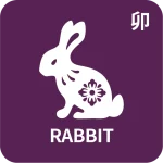 Zodiac rabbit